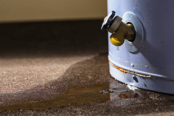  Southwood Acres, CT Water damage restoration Pros