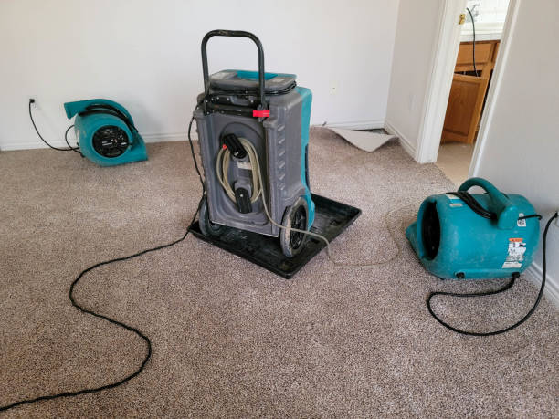 Water damage restoration mold remediation in CT