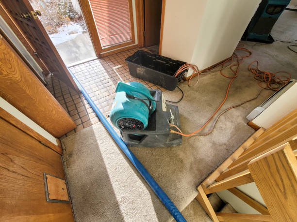 Best Emergency water damage restoration  in Southwood Acres, CT