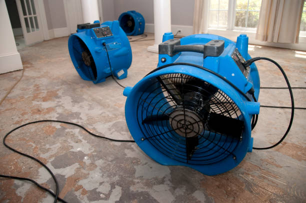 Best Flooded house restoration  in Southwood Acres, CT