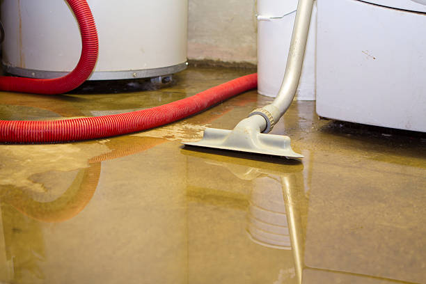 Best Water damage contractors near me  in Southwood Acres, CT