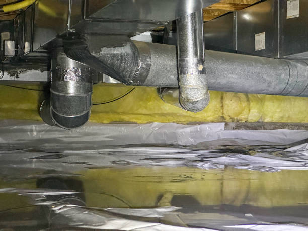 Best Water damage cleanup near me  in Southwood Acres, CT