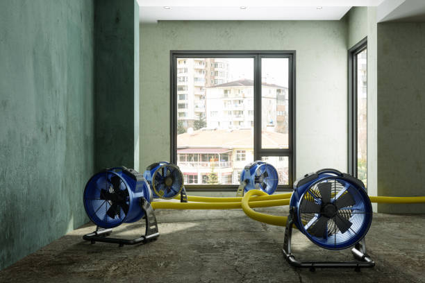 Best Flood restoration services  in Southwood Acres, CT