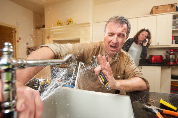 Best Flooded house restoration  in Southwood Acres, CT